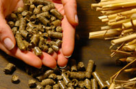 free Hound Green biomass boiler quotes
